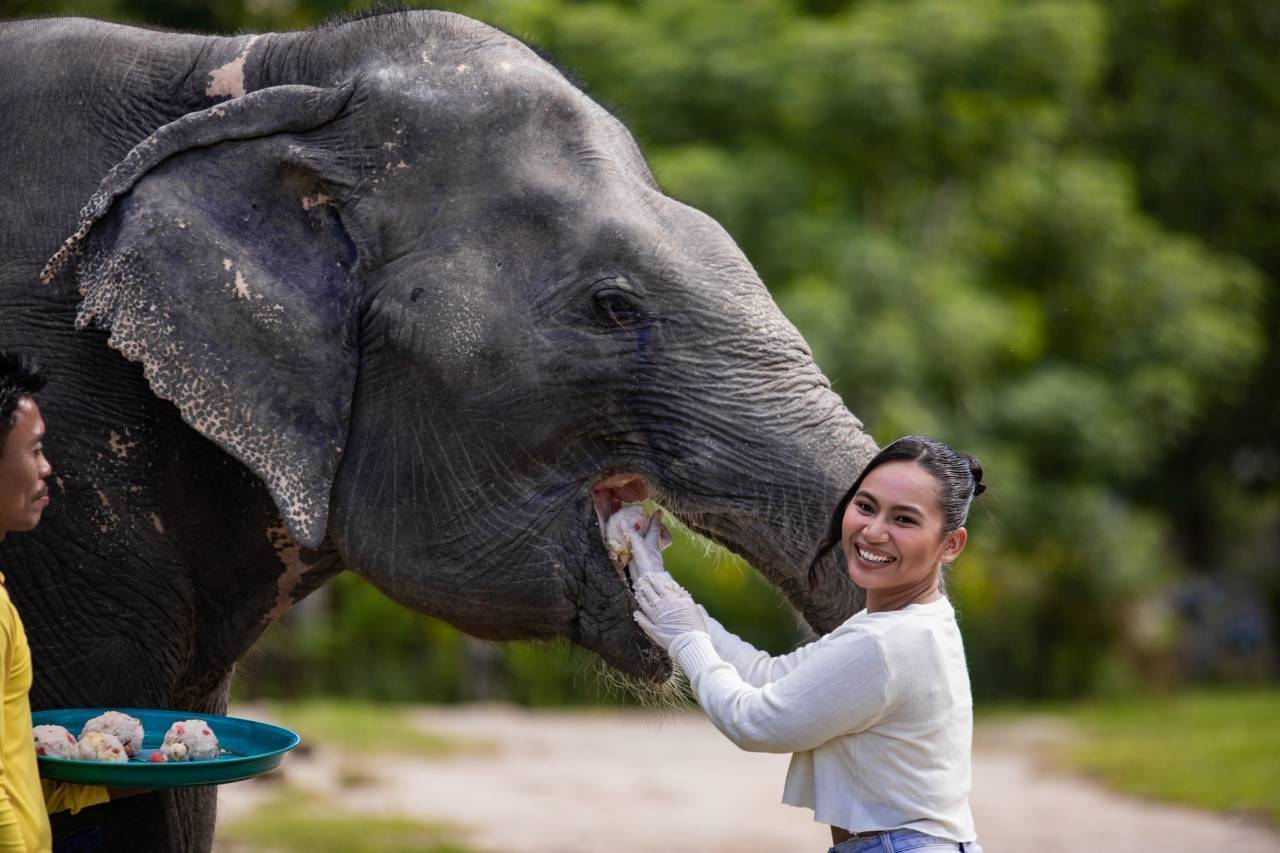 Besucherin füttert einen Elefanten im Bukit Elephant Park Phuket