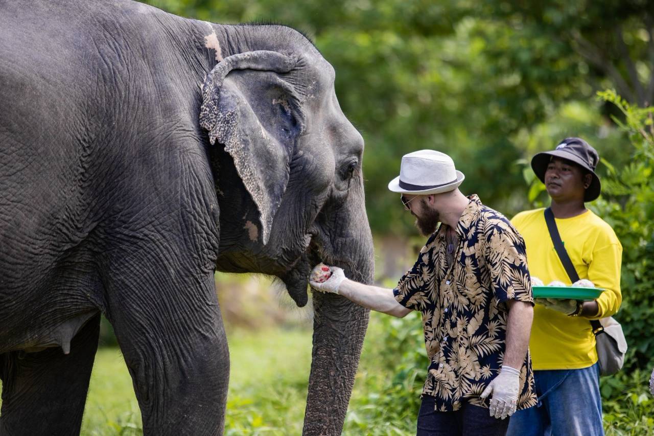 Besucher füttert einen Elefanten im Bukit Elephant Park Phuket