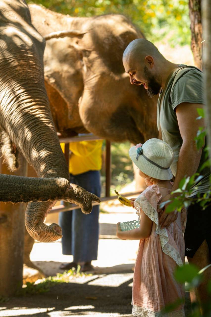 Familie beim Elefantenfüttern im Bukit Elephant Park Phuket