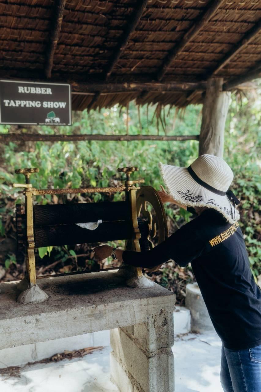 Rubber Tapping Show im Bukit Elephant Park Phuket