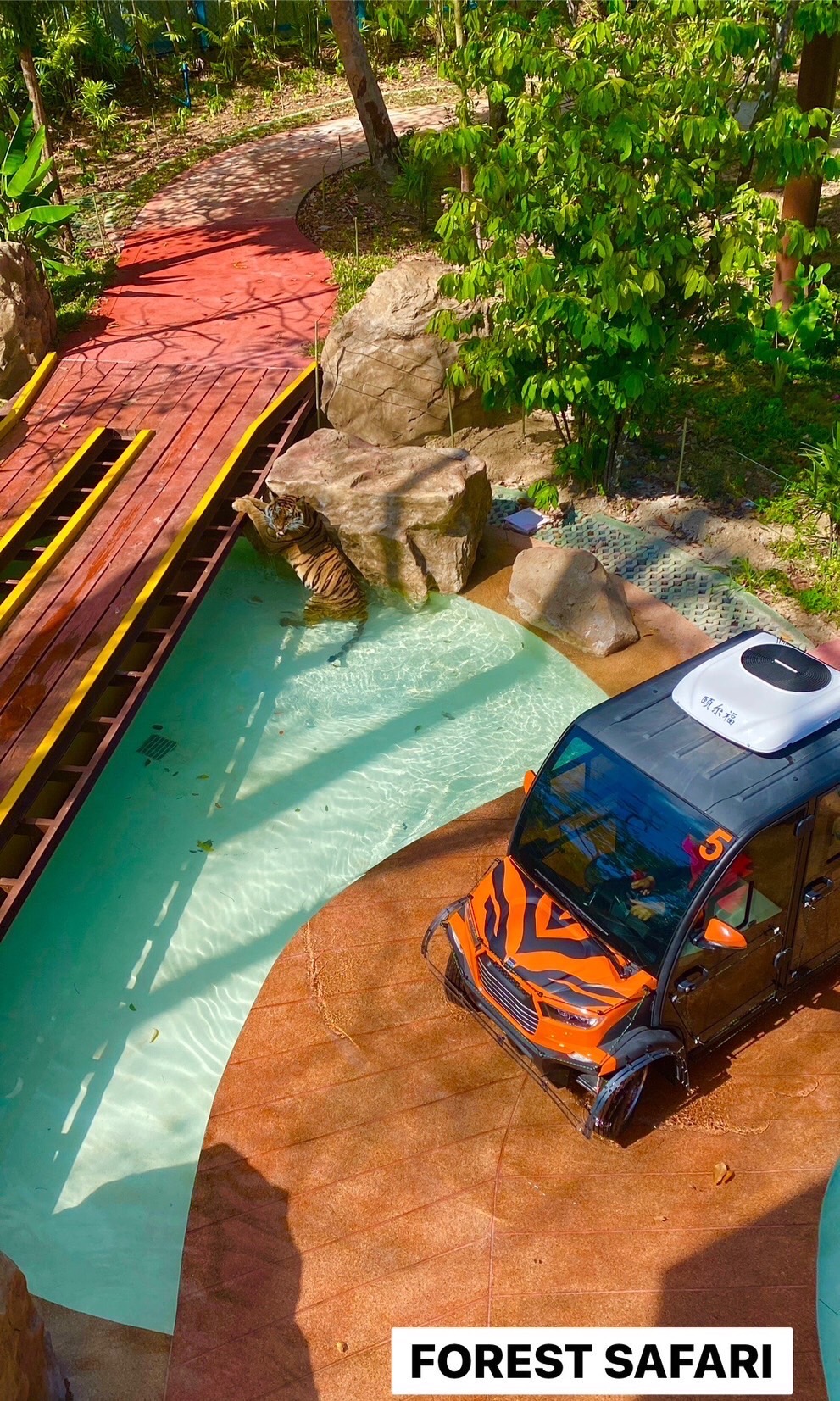 Forest Safari im Tiger Park Kathu Phuket